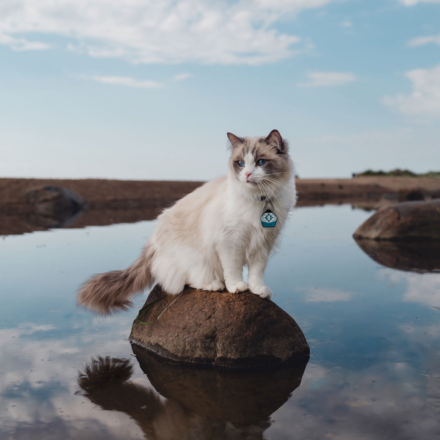 Scuba Blue - Silent Dog ID Tag