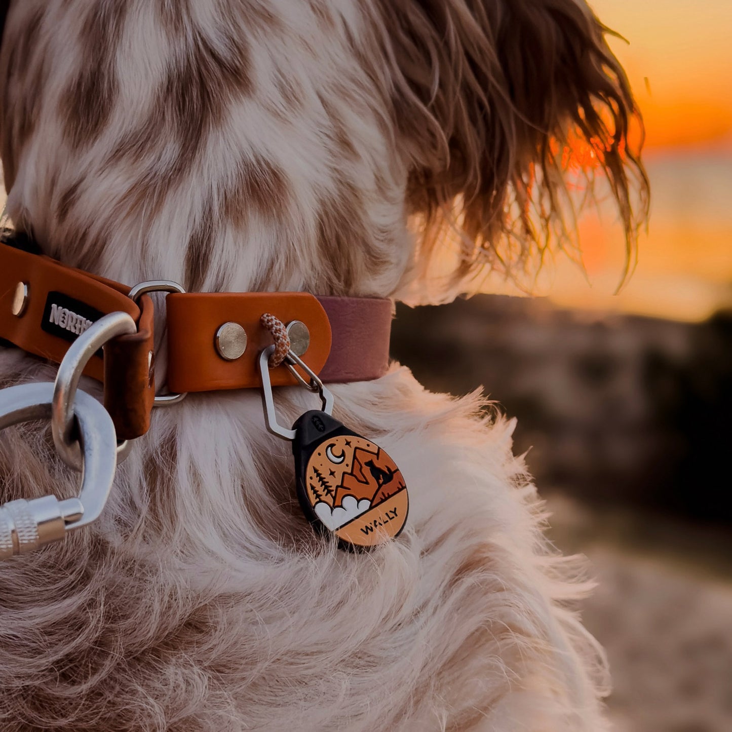 Sunset Orange - Silent Dog ID Tag