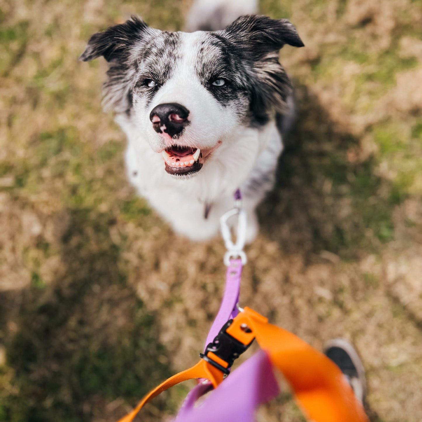 The Multi QuickLead™ - Dog Leash