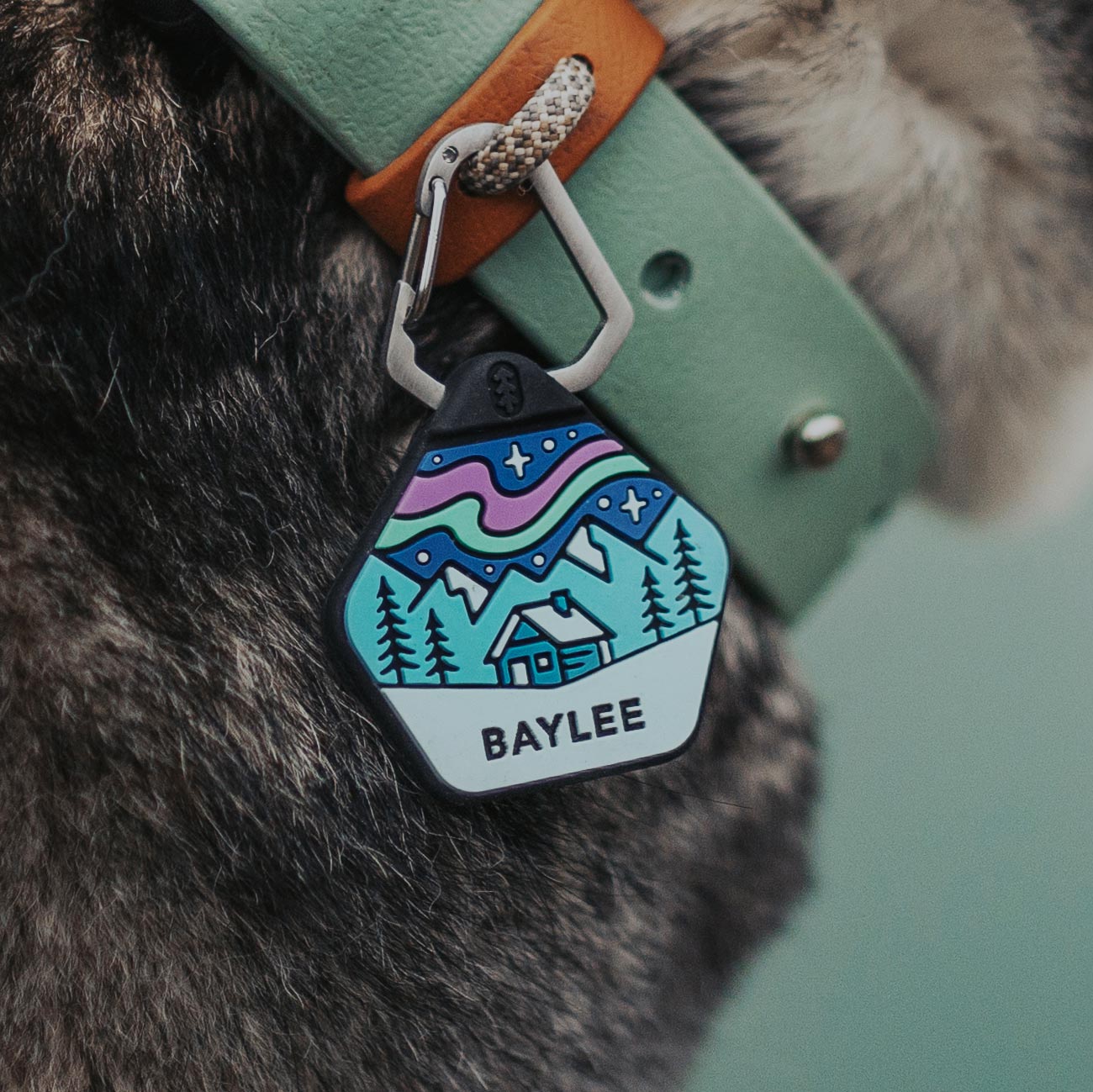 Northern Lights - Silent Dog ID Tag