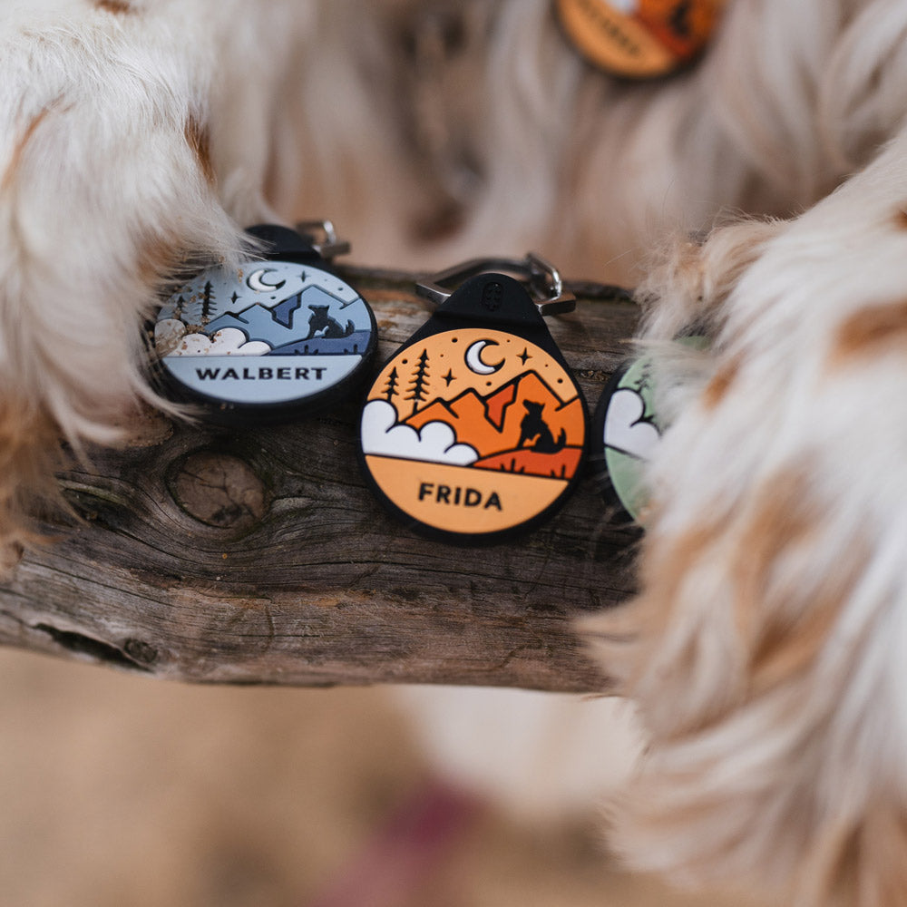 Sunset Orange - Silent Dog ID Tag