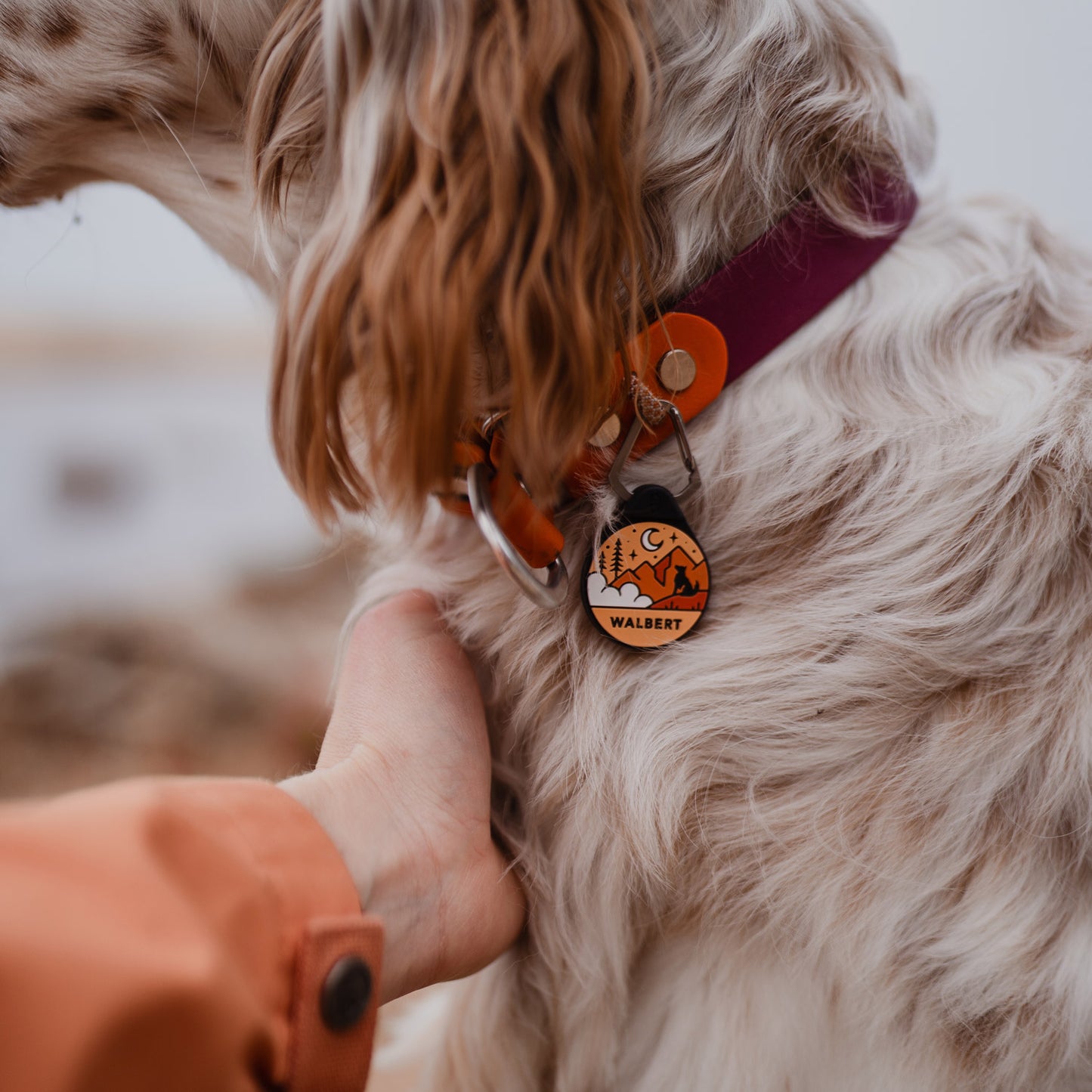 Sunset Orange - The Ultimate Silent Dog ID Tag