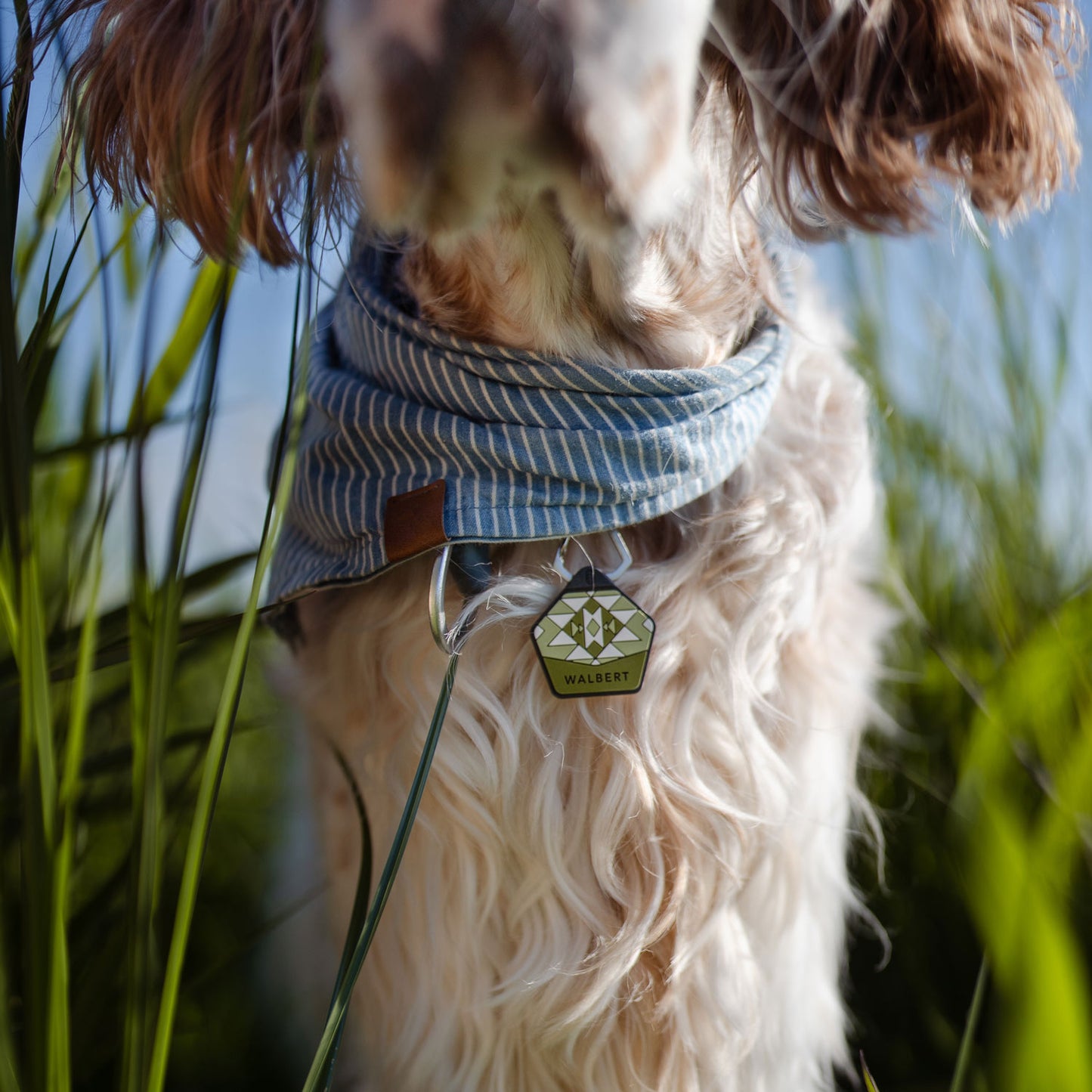Woodland Green - Silent Dog ID Tag