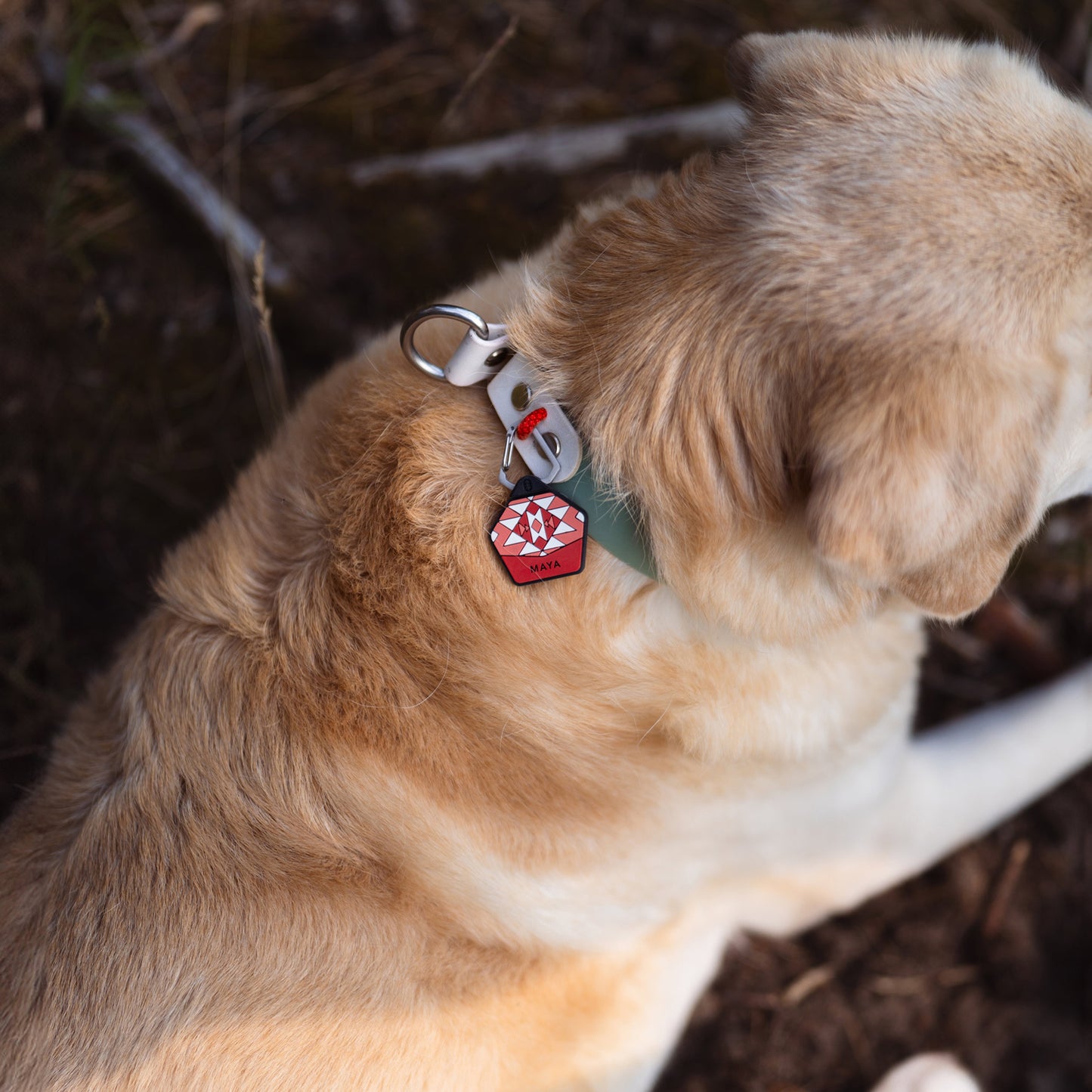 Rowan Red - Silent Dog ID Tag