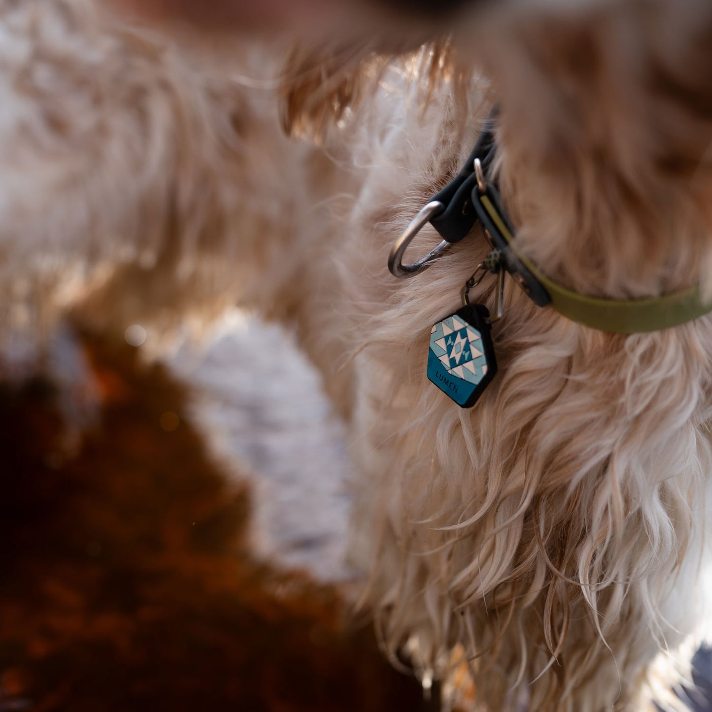 Scuba Blue - Silent Dog ID Tag