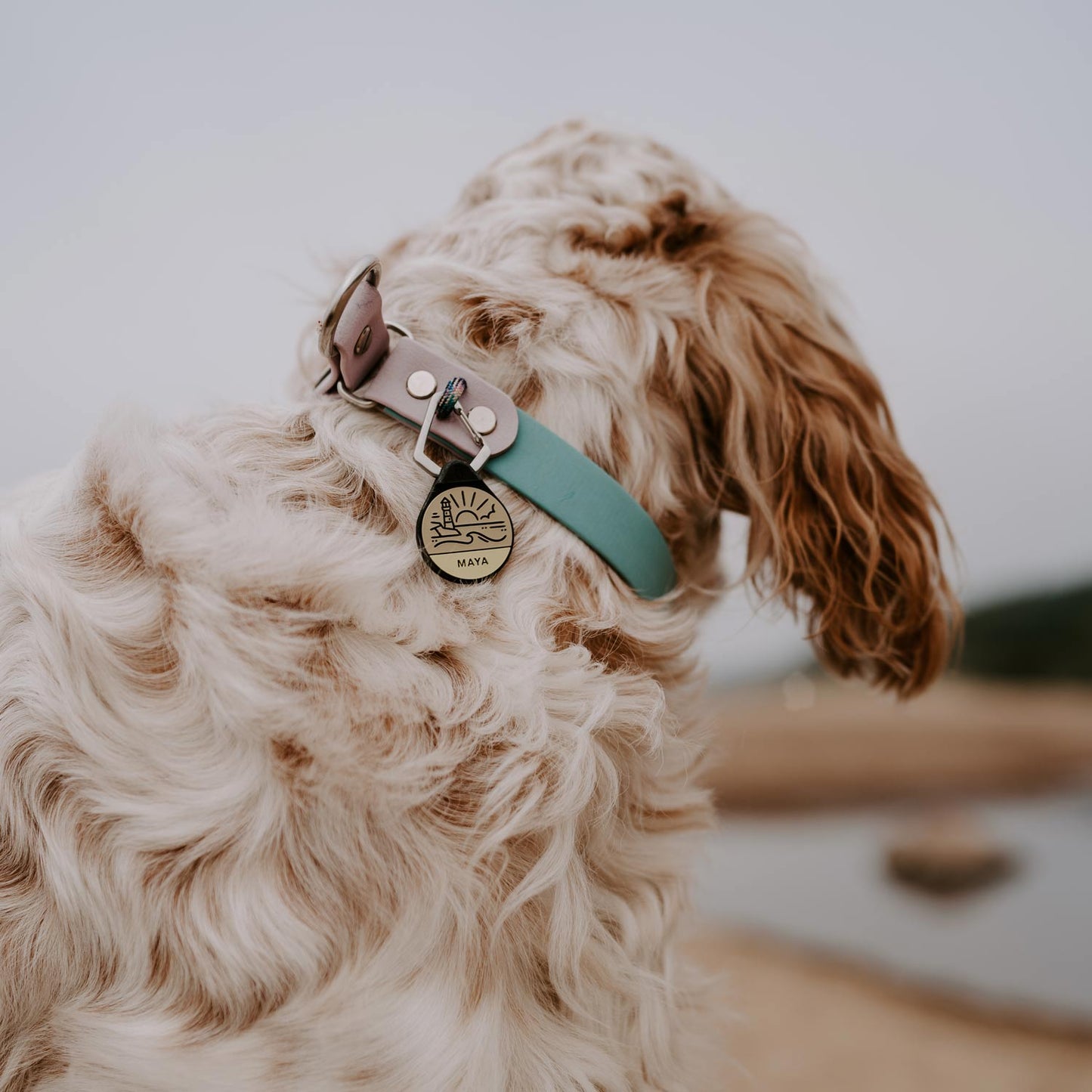 Coastline - Silent Dog ID Tag