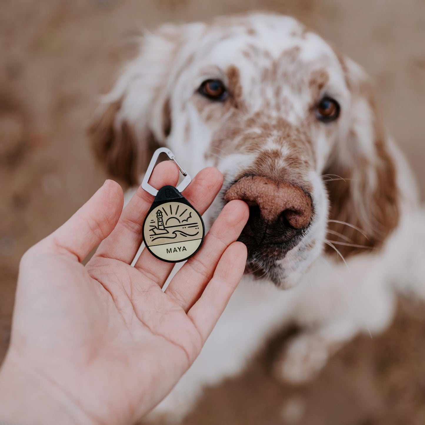 Coastline - Silent Dog ID Tag