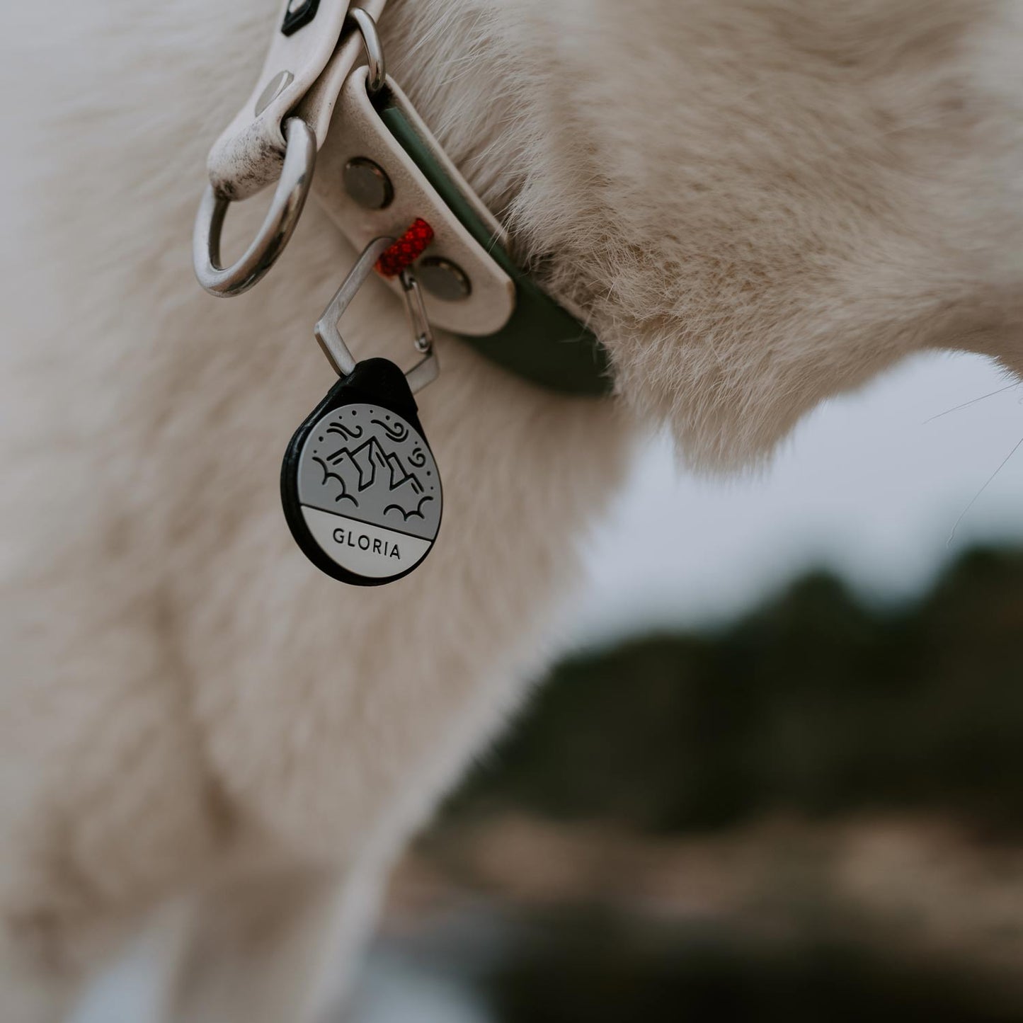 Summit - Silent Dog ID Tag