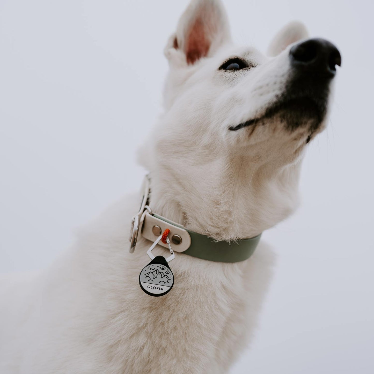 Summit - Silent Dog ID Tag