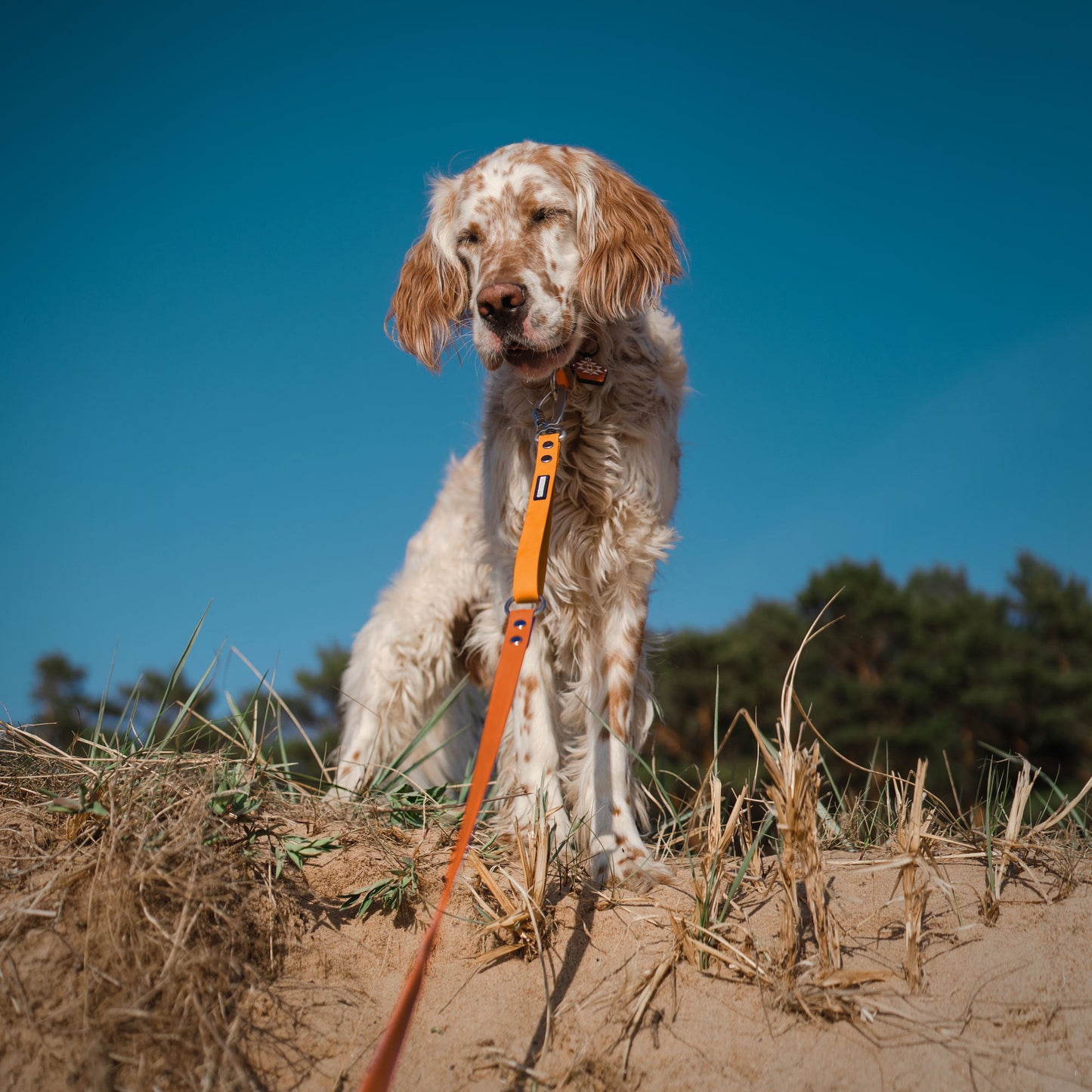 The Multi QuickLead™ Duo Tone - Dog Leash