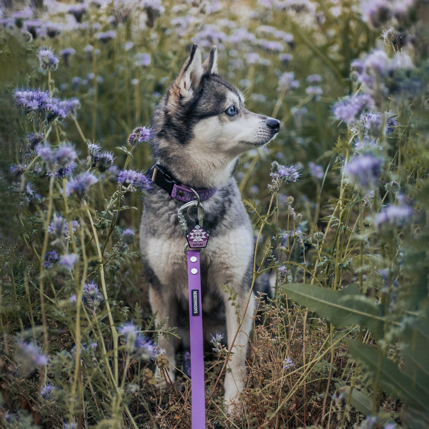The Multi QuickLead™ - Dog Leash