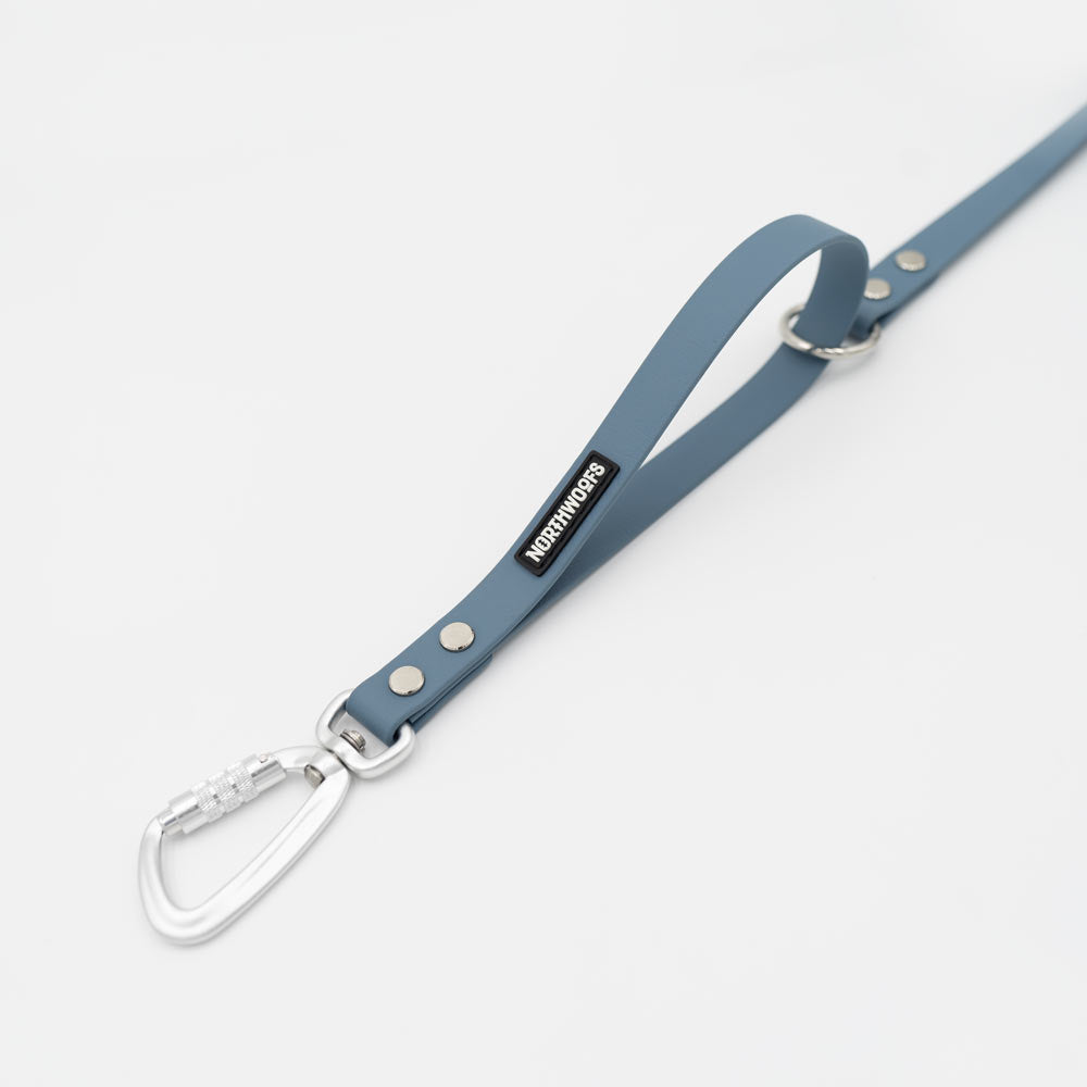 The Multi QuickLead™ Single Tone - Dog Leash