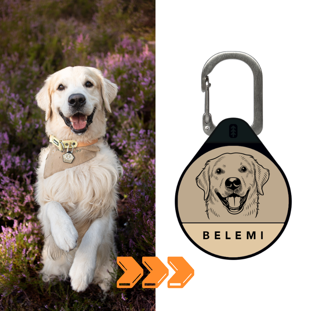 Custom Portrait - Silent Dog ID Tag