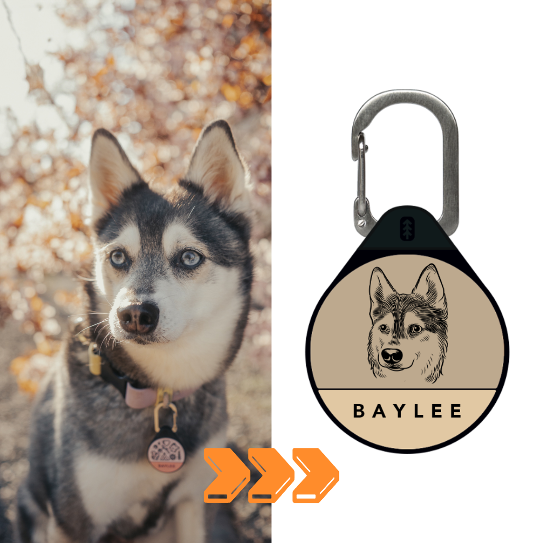 Custom Portrait - Silent Dog ID Tag
