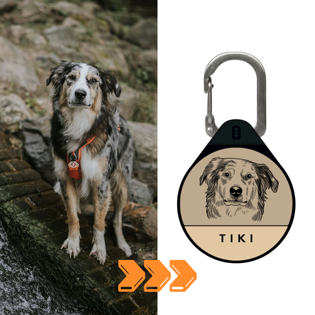 Custom Portrait - Silent Dog ID Tag