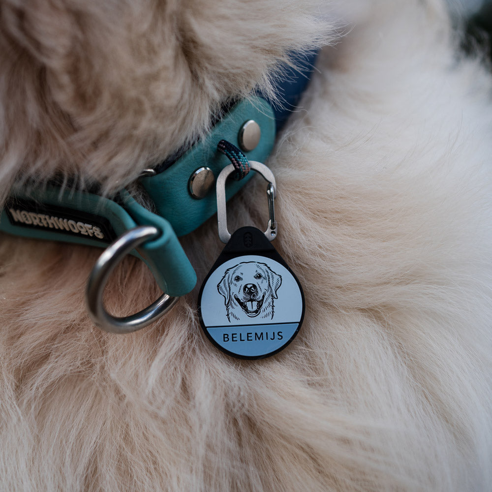 Custom Portrait - Silent Dog ID Tag