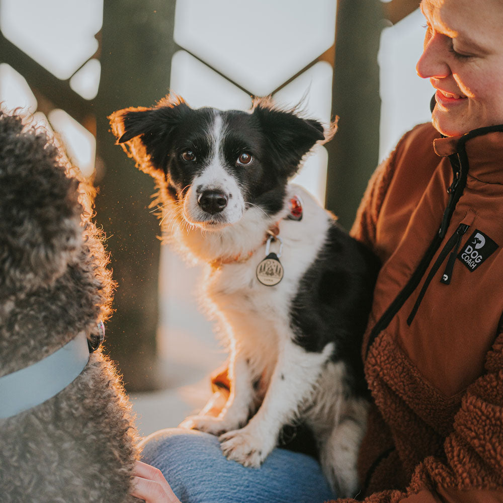 Campfire - Silent Dog ID Tag