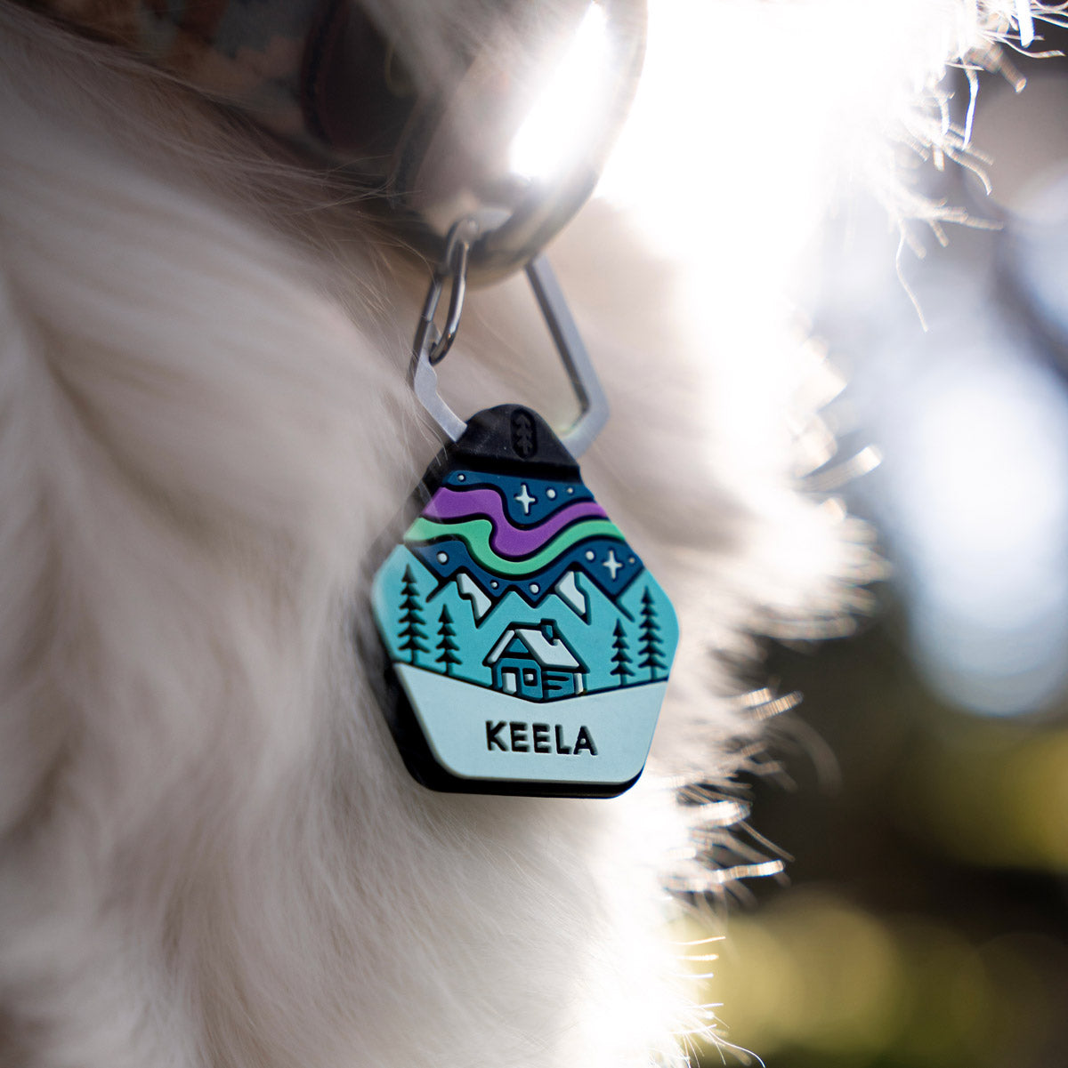Northern Lights - Silent Dog ID Tag