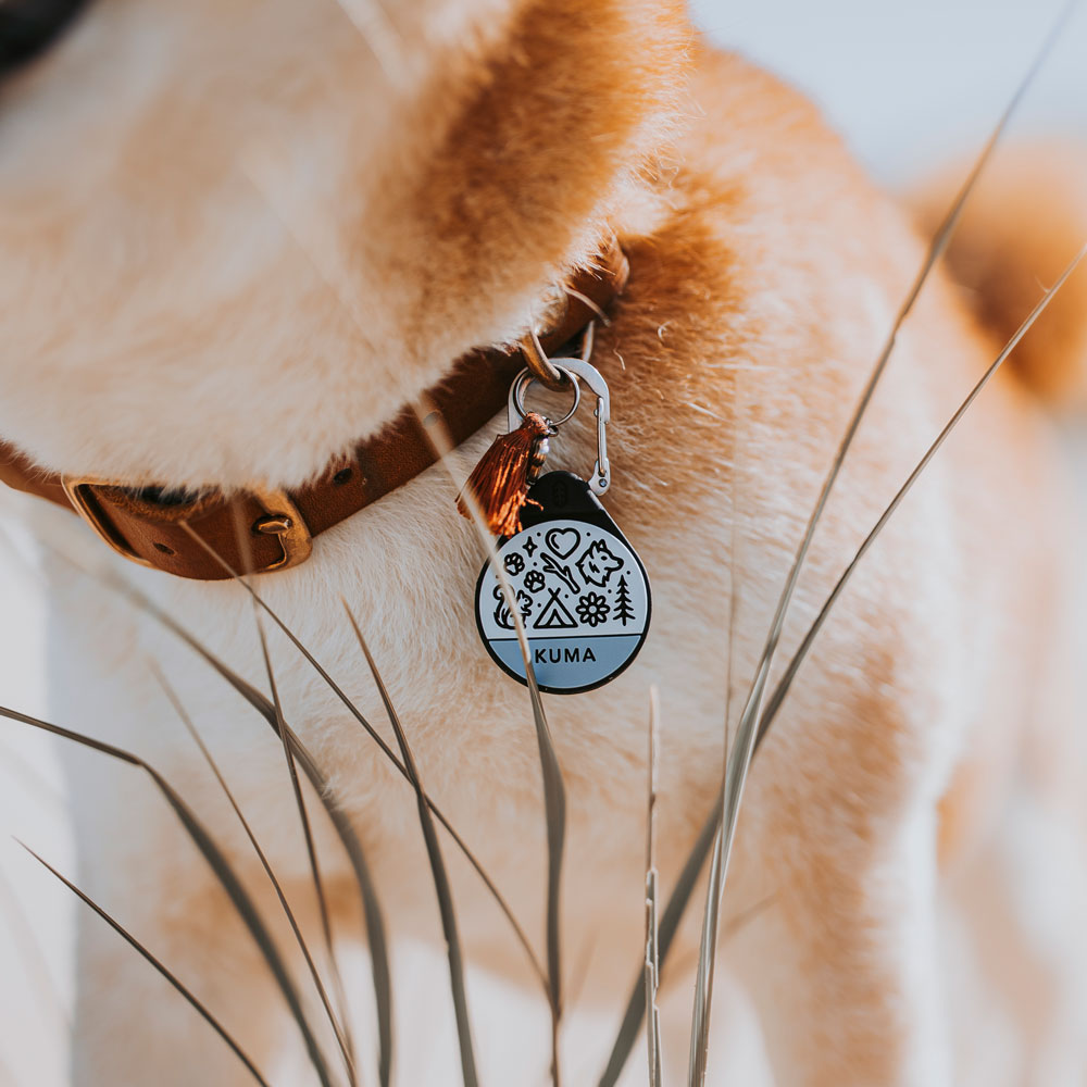 Wild Love - Silent Dog ID Tag