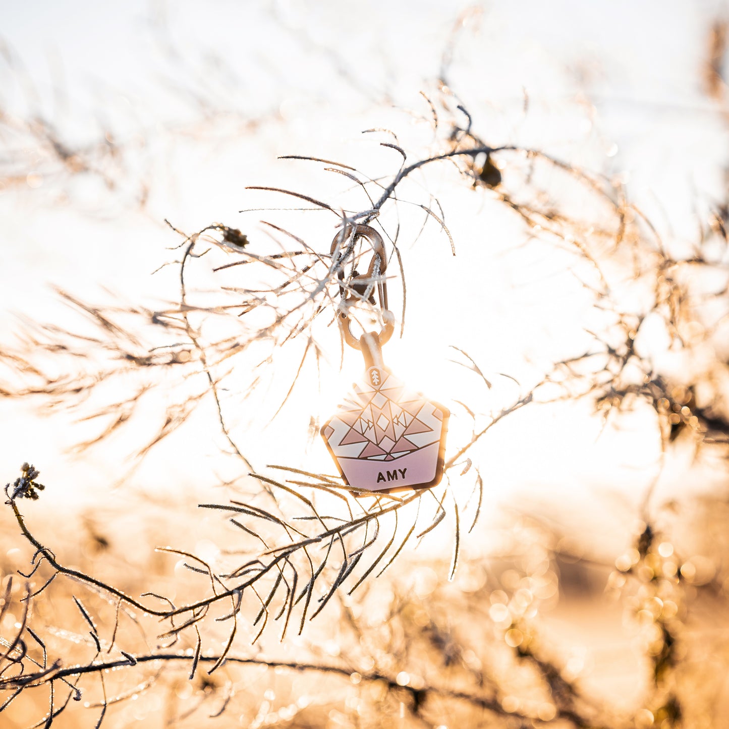 Fairy Pink - The Ultimate Silent Dog ID Tag