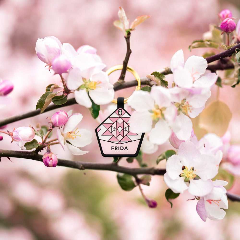 Fairy Pink - The Ultimate Silent Dog ID Tag