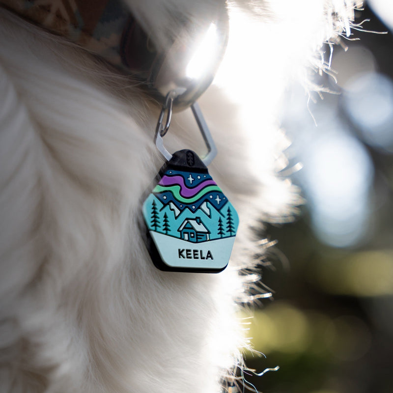Northern Lights dog ID tag with the name Keela on a QuickRing, hanging from a white dog's collar