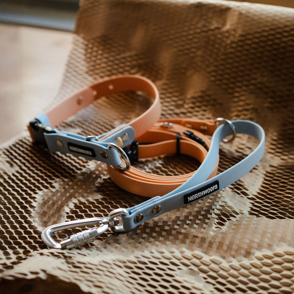 Dog Gear