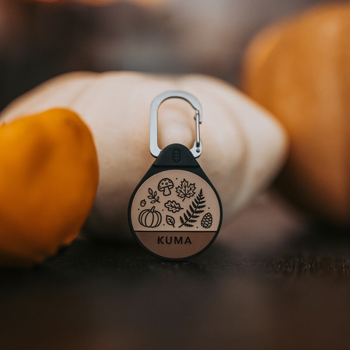 Woodlands dog ID tag in Birch Beige with pumpkins