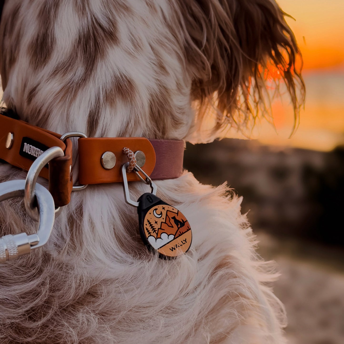 Sunset Orange - The Ultimate Silent Dog ID Tag