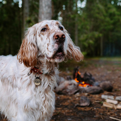 Campfire - The Ultimate Silent Dog ID Tag