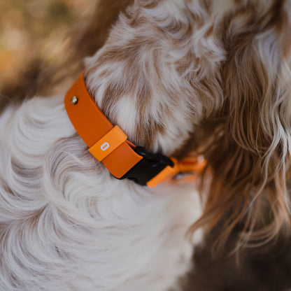 The Tide - Limited QuickSlip™ Collar