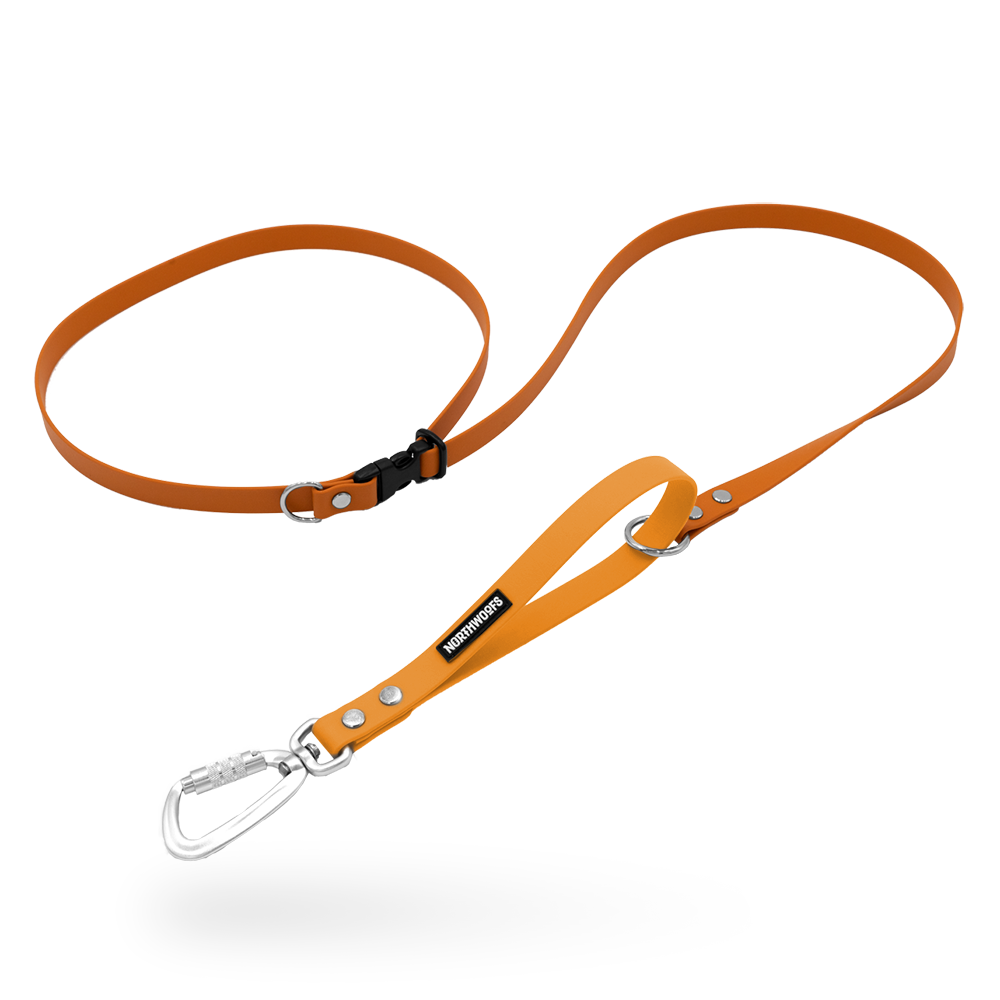 Multi handle dog hot sale lead