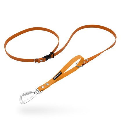 Duo dog leash best sale