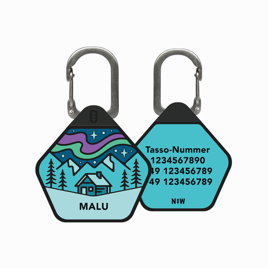 Northern Lights - Silent Dog ID Tag