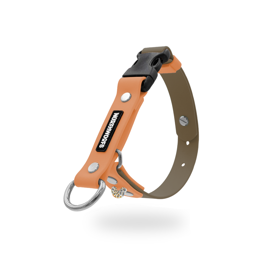 The Tide - Limited QuickSlip™ Collar