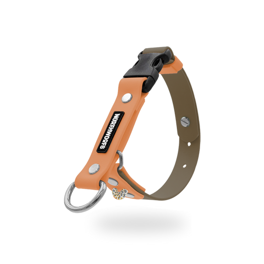 The Tide - Limited QuickSlip™ Collar