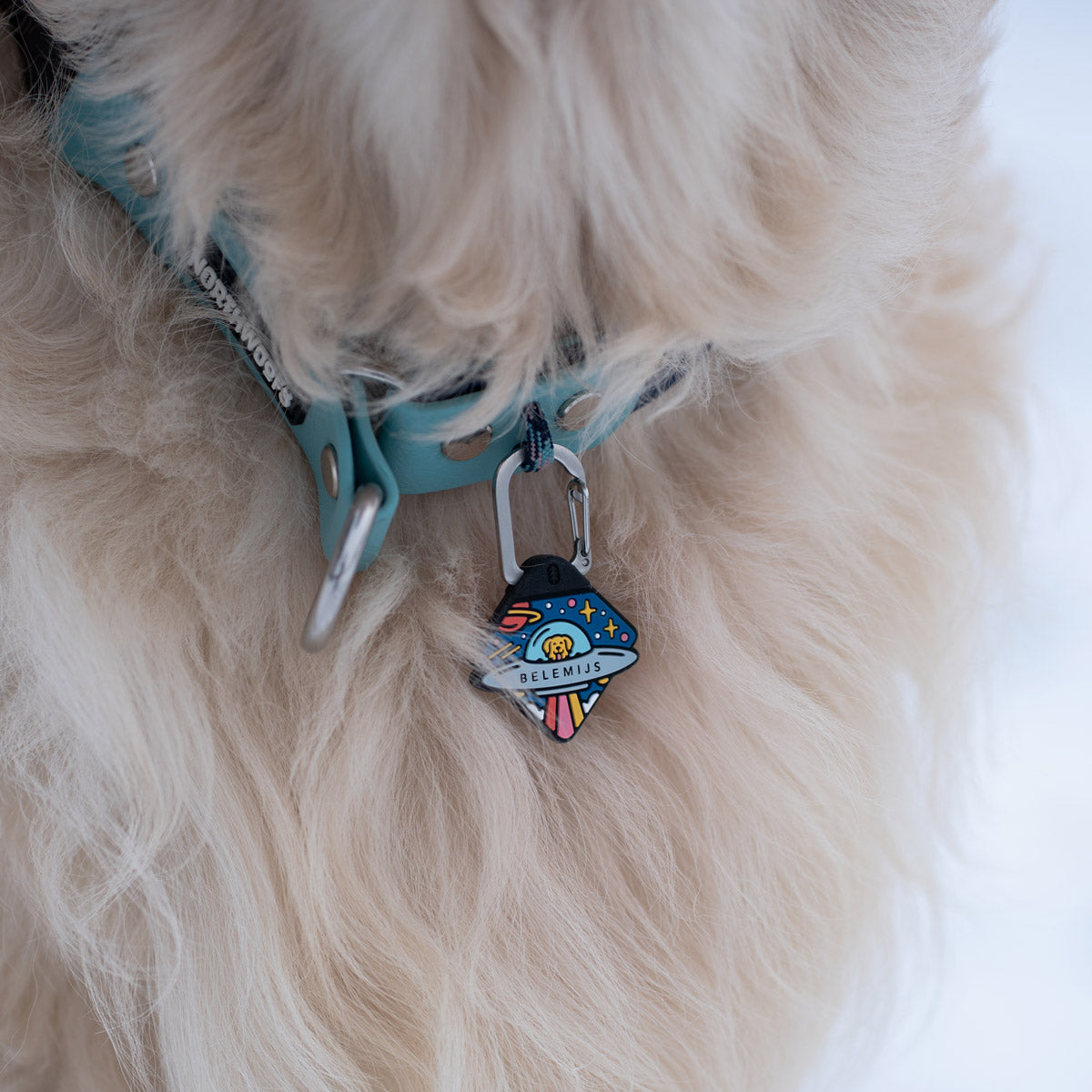Astrodash - Silent Dog ID Tag – Northwoofs