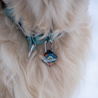 Astrodash - Silent Dog ID Tag