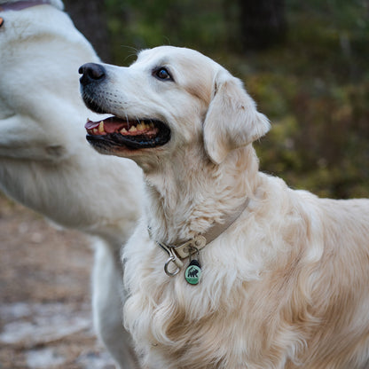 The Bear - Silent Dog ID Tag
