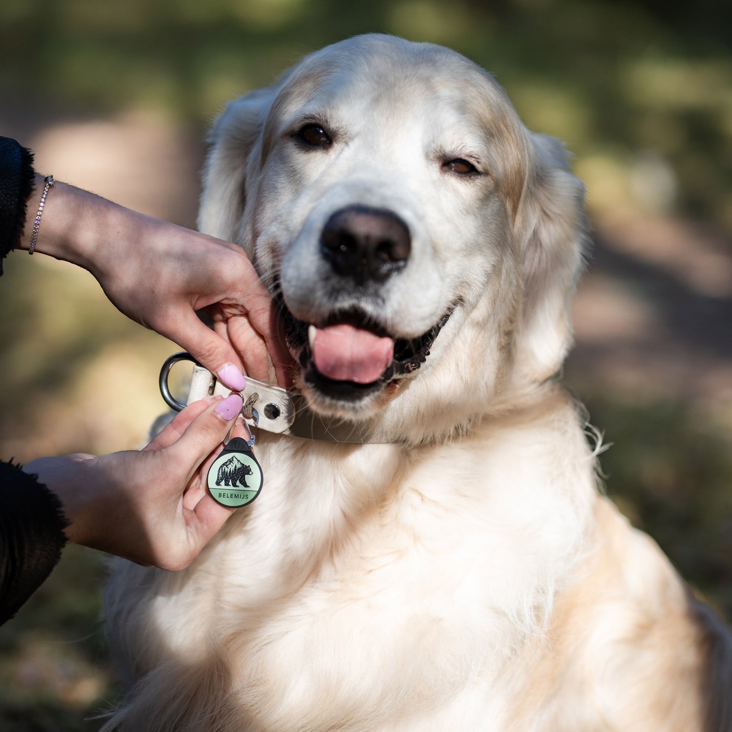 The Bear - Silent Dog ID Tag