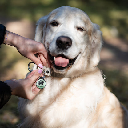 The Bear - Silent Dog ID Tag