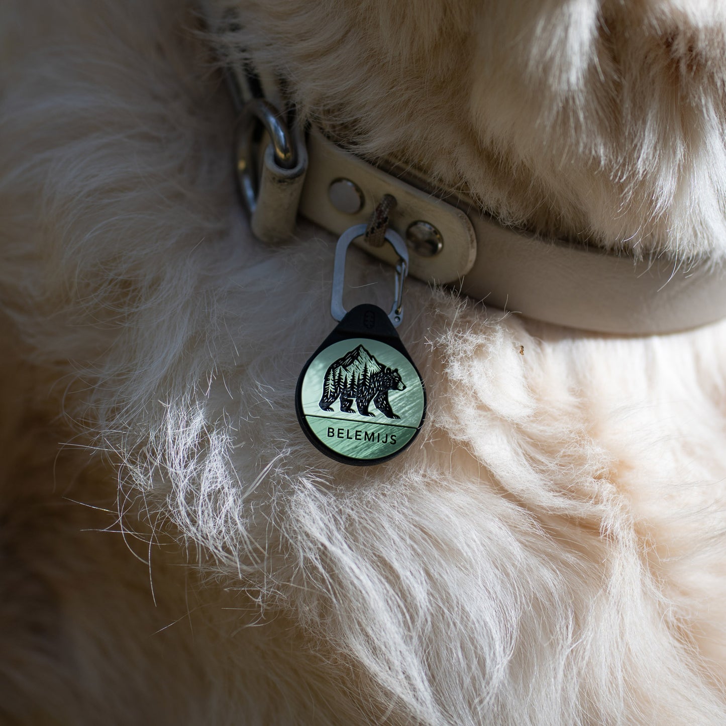 The Bear - Silent Dog ID Tag