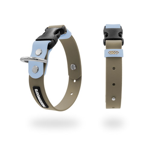 Classic Collar