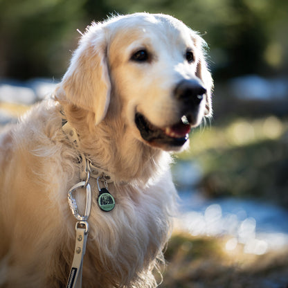 Hike More - Silent Dog ID Tag