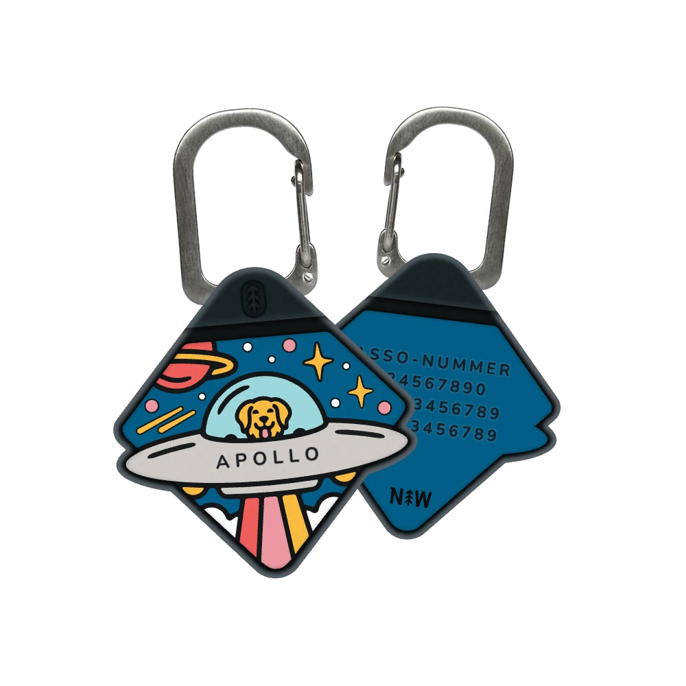 Astrodash dog ID tag