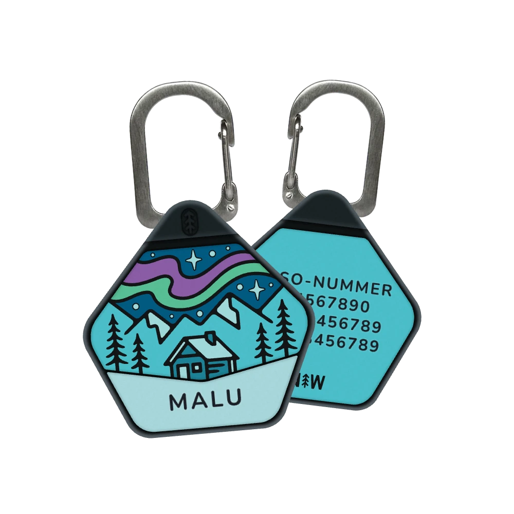 Northern Lights dog ID tag