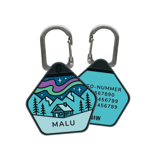 Northern Lights dog ID tag