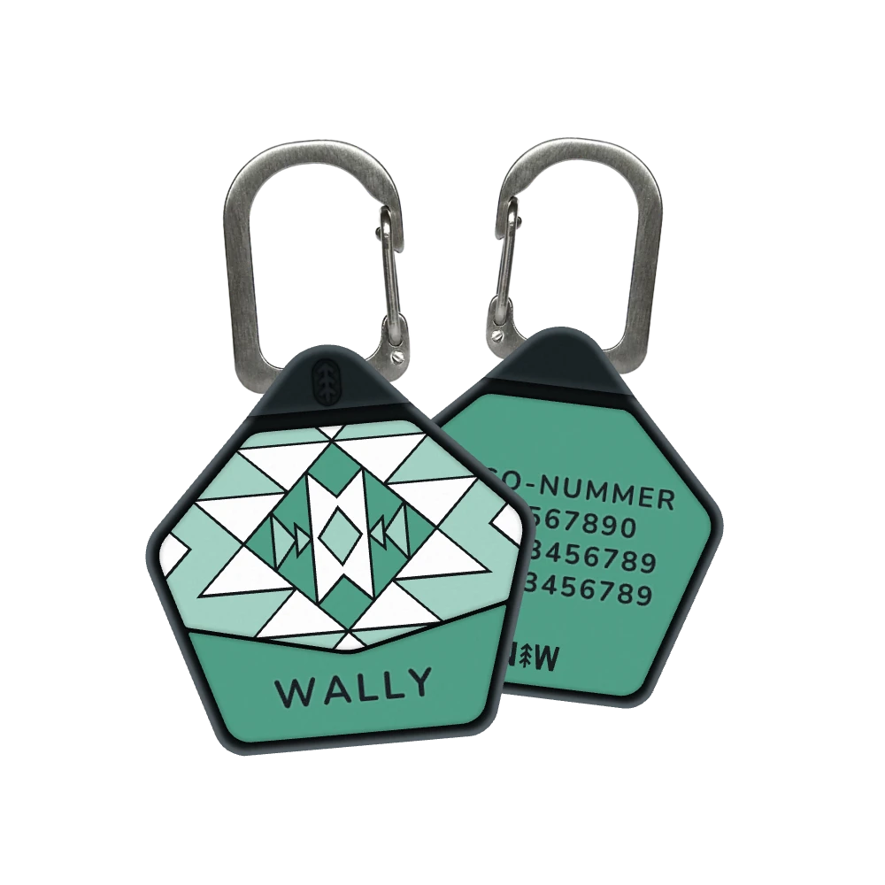 Aztec Hundemarke in Peppermint Green