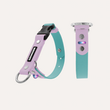 Dog Gear