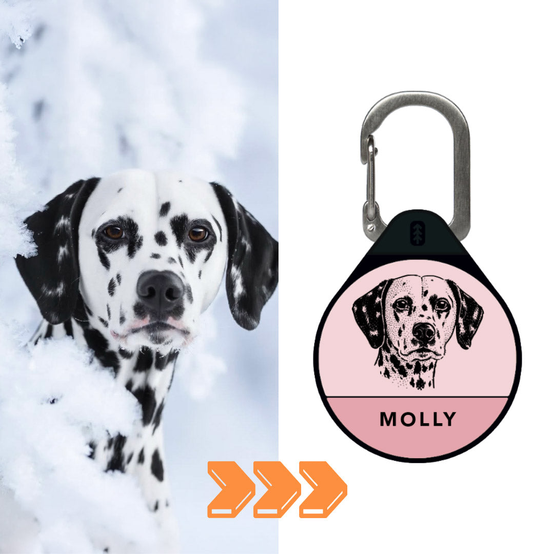 Instant Portrait - Silent Dog ID Tag